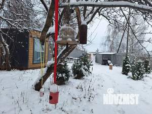 Дом 33м², 1-этажный, посуточно,