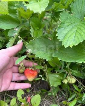 Дом 22м², 2-этажный, участок 4 сот.