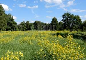 Дом 180м², 2-этажный, участок 8 сот.