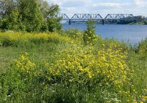 Дом 180м², 2-этажный, участок 8 сот.