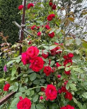 Дом 22м², 2-этажный, участок 4 сот.