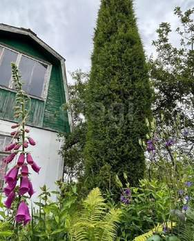 Дача 22м², 2-этажный, участок 4 сот.