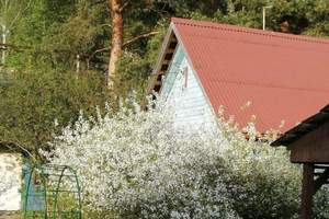 Дом 85м², 2-этажный, участок 6 сот.