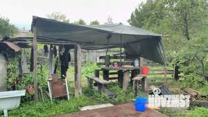 Дом 40м², 1-этажный, участок 6 сот.