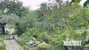 Дом 40м², 1-этажный, участок 6 сот.