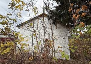 Дом 35м², 1-этажный, участок 6 сот.