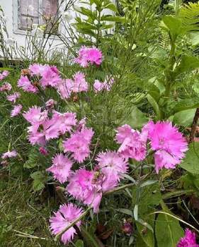 Дача 22м², 2-этажный, участок 4 сот.