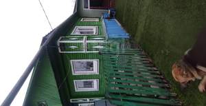 Дом 77м², 1-этажный, участок 5 сот.