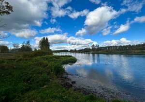 Дом 40м², 1-этажный, участок 3 сот.