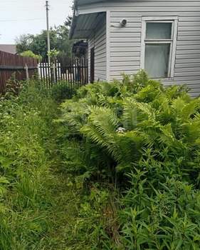 Дом 55м², 1-этажный, участок 8 сот.