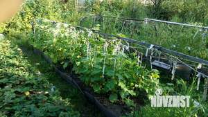 Дом 150м², 2-этажный, участок 12 сот.