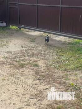 Дом 150м², 2-этажный, участок 5 сот.