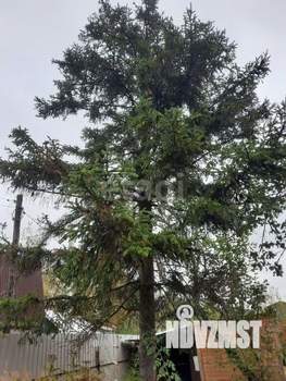 Дом 10м², 1-этажный, участок 6 сот.