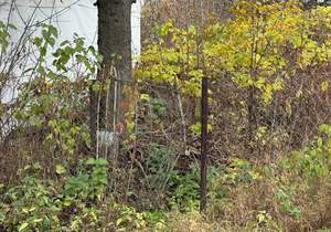 Дом 35м², 1-этажный, участок 6 сот.