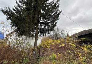 Дом 35м², 1-этажный, участок 6 сот.