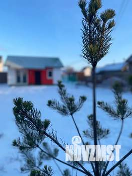 Дом 54м&sup2;, 1-этажный, посуточно, 