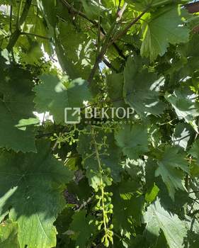 Дом 220м&sup2;, 2-этажный, участок 5 сот.  