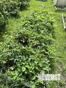 Дом 50м&sup2;, 2-этажный, участок 8 сот.  