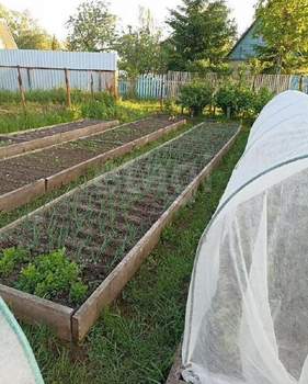 Дом 30м&sup2;, 2-этажный, участок 5 сот.  