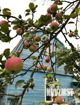 Дом 50м&sup2;, 2-этажный, участок 11 сот.  