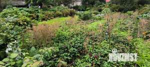 Дом 56м&sup2;, 1-этажный, участок 7 сот.  