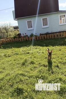 Дача 50м&sup2;, 2-этажный, участок 6 сот.  