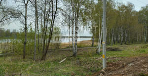 Дом 40м&sup2;, 1-этажный, участок 5 сот.  