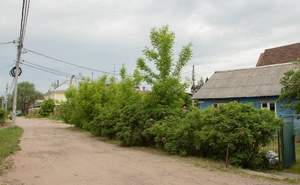 Дом 74м², 1-этажный, участок 6 сот.  