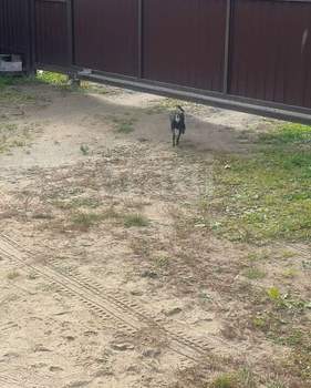 Дом 150м&sup2;, 2-этажный, участок 5 сот.  