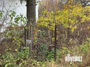 Дом 35м², 1-этажный, участок 6 сот.  