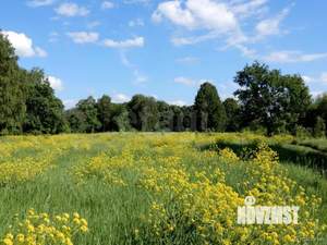 Дом 180м&sup2;, 2-этажный, участок 8 сот.  