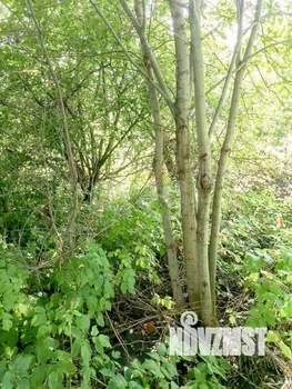 Дом 18м&sup2;, 1-этажный, участок 8 сот.  