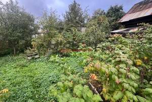 Дом 40м², 1-этажный, участок 7 сот.  