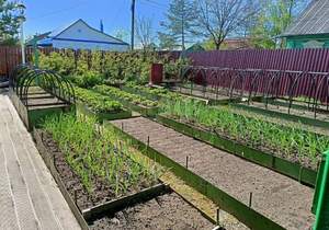 Дом 250м&sup2;, 2-этажный, участок 6 сот.  