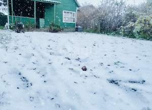 Дом 72м&sup2;, 2-этажный, участок 6 сот.  