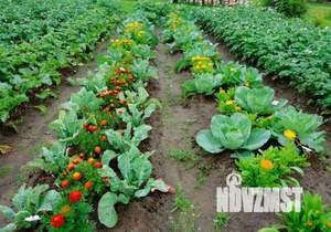 Дом 12м&sup2;, 1-этажный, участок 4 сот.  