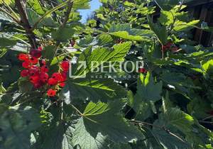 Дом 220м&sup2;, 2-этажный, участок 5 сот.  