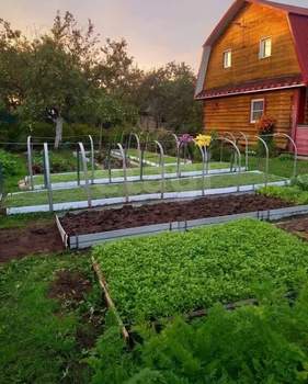 Дом 53м&sup2;, 2-этажный, участок 5 сот.  