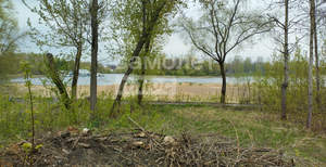 Дом 40м&sup2;, 1-этажный, участок 5 сот.  