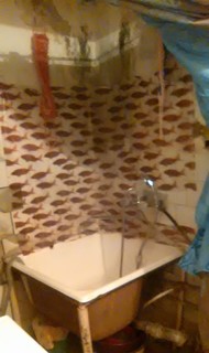 Фото комнаты в аренду (6)