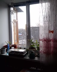 Фото комнаты на продажу (3)