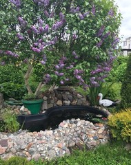 Фото комнаты на продажу (7)