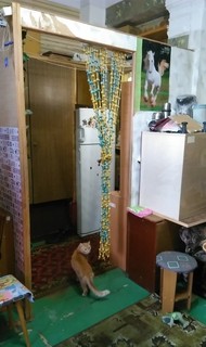 Фото комнаты на продажу (3)