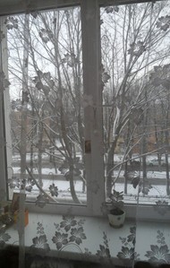 Фото комнаты на продажу (3)