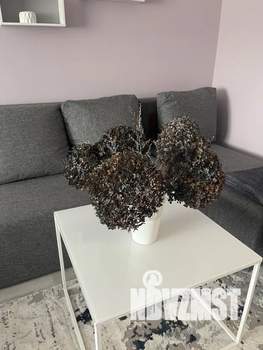 1-к квартира, посуточно, 38м2, 2/3 этаж