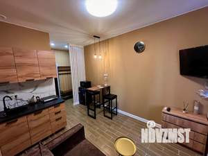 Студия квартира, посуточно, 21м2, 1/2 этаж