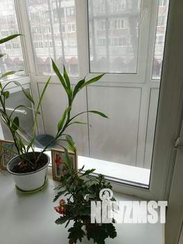 2-к квартира, посуточно, 43м2, 2/5 этаж