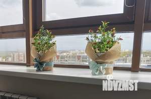 2-к квартира, посуточно, 69м2, 12/24 этаж