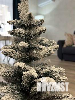 1-к квартира, посуточно, 55м2, 1/1 этаж
