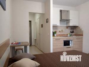 Студия квартира, посуточно, 20м2, 10/17 этаж